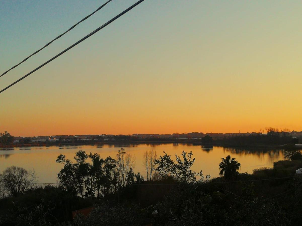Sul Lago Dorato แตร์ราชินา ภายนอก รูปภาพ