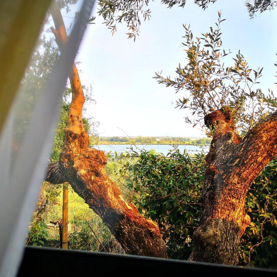 Sul Lago Dorato แตร์ราชินา ภายนอก รูปภาพ